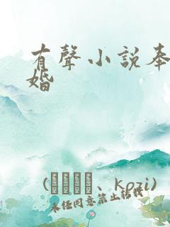 有声小说奉子成婚