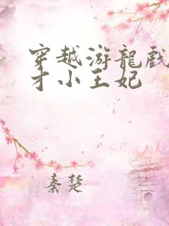 穿越游龙戏凤天才小王妃