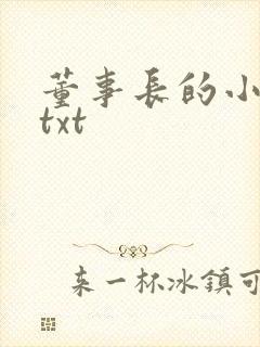 董事长的小王爷txt