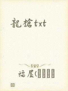 龙枪txt