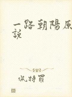 一路朝阳原著小说