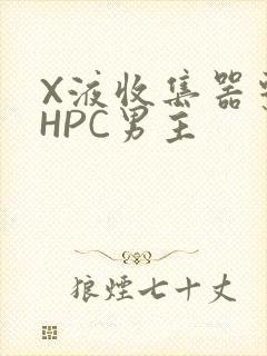 X液收集器系统HPC男主