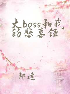 大boss和我的悲喜录