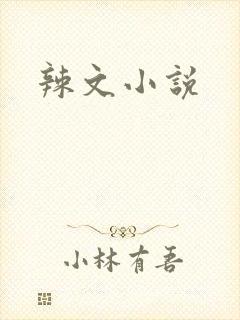 辣文小说