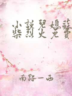 小说儿媳苏玥干柴烈火免费阅读