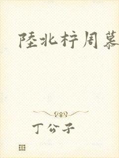 陆北柠周慕深