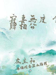 宠妻无度  金牌相公