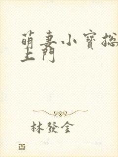 萌妻小宝总裁找上门