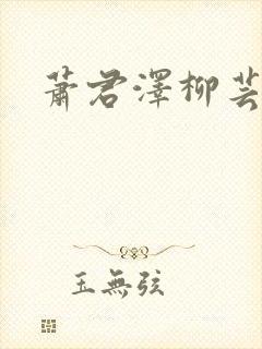 萧君泽柳芸小说