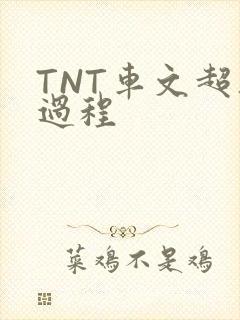 TNT车文超细过程