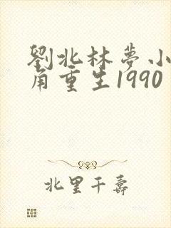 刘北林梦小说主角重生1990
