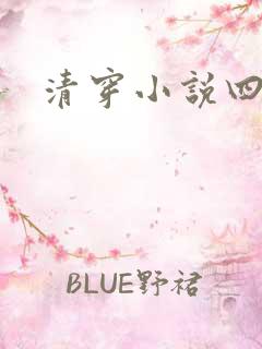 清穿小说四四