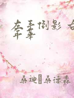 左手倒影 右手年华