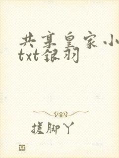 共享皇家小公主txt银羽