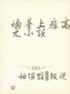 娇养上瘾高H爽文小说