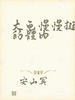 大龟慢慢挺进我的体内