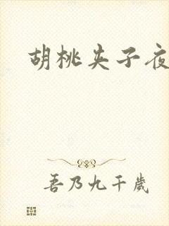 胡桃夹子夜未眠