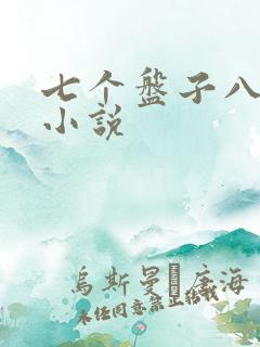 七个盘子八个碗小说