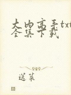 大内高手txt全集下载