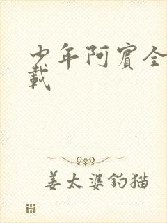 少年阿宾全集下载