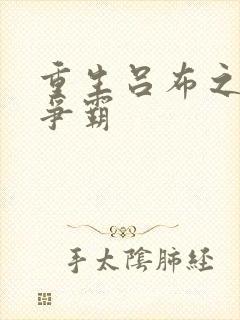 重生吕布之三国争霸