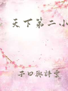 天下第二小说