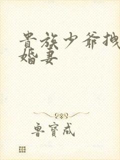 贵族少爷拽拽未婚妻