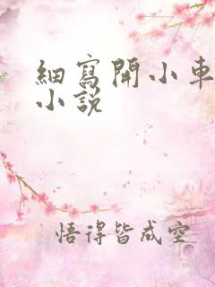 细写开小车车的小说