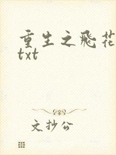 重生之飞花落照txt
