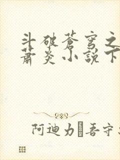 斗破苍穹之重生萧炎小说下载