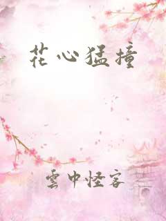 花心猛撞