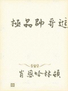 极品帅哥进化史