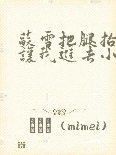 苏雪把腿抬起来让我进去小说