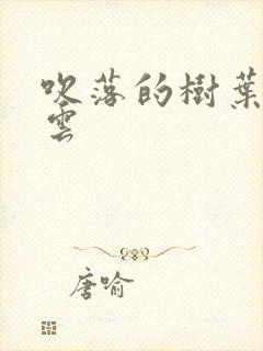 吹落的树叶百度云