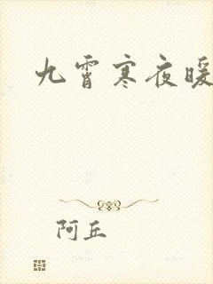 九霄寒夜暖小说