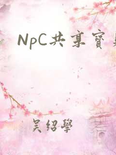 NpC共享宝贝