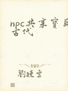 npc共享宝贝古代