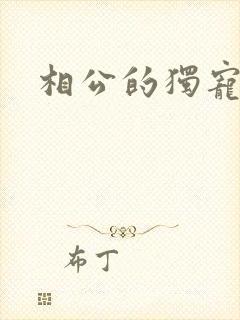 相公的独宠妻子