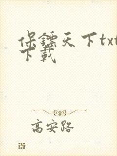 保镖天下txt下载