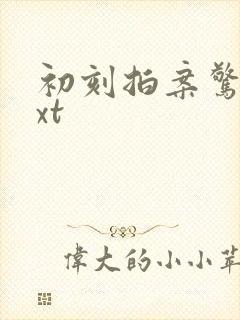 初刻拍案惊奇txt