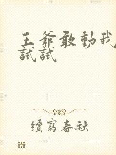 王爷敢动我妈咪试试