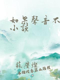 如果声音不记得小说