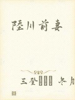 陆川前妻