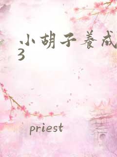 小胡子养成计划3