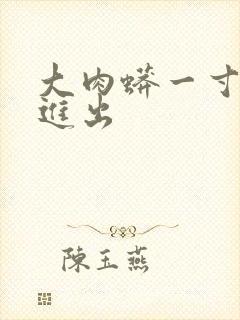 大肉蟒一寸一寸进出