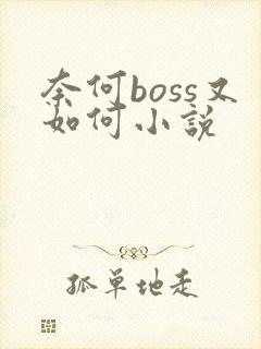 奈何boss又如何小说