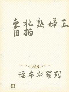 东北熟妇王梅娟自拍