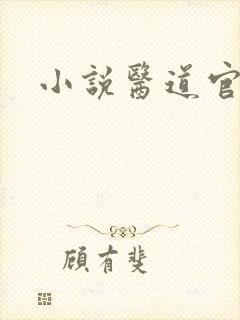 小说医道官途