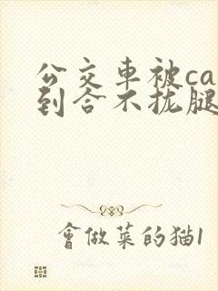 公交车被cao到合不拢腿视频