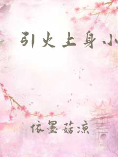 引火上身小说